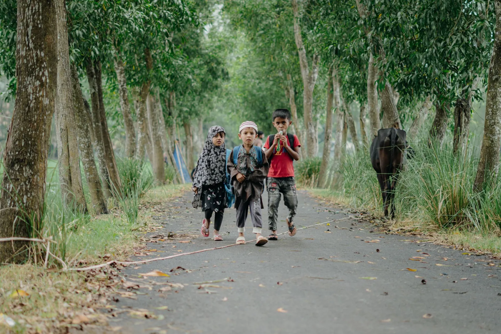Three children walking on a tree-lined pathway outdoors surrounded by greenery.