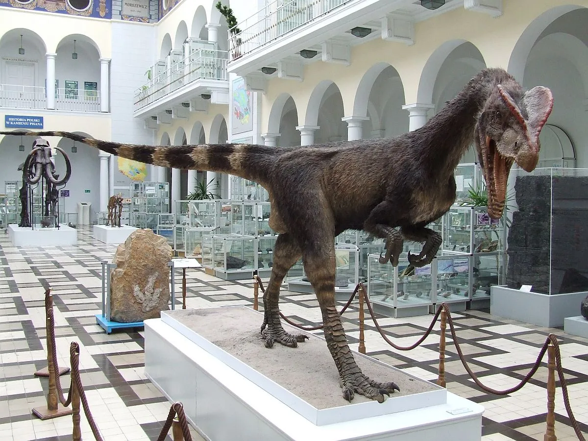 Muzeum Geologiczne Państwowego Instytutu Geologicznego - Państwowego Instytutu Badawczego